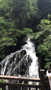 《幻兽帕鲁》捡树枝方法