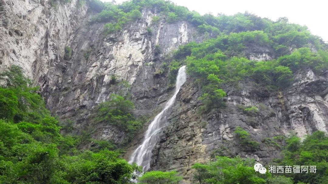 鲜奶运输车找不同
